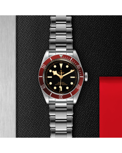 Tudor Black Bay 41 mm steel case, Rivet steel bracelet (watches)
